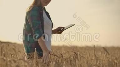 一个带平板电脑的女农民。 智能<strong>农业</strong>和<strong>数字农业</strong>